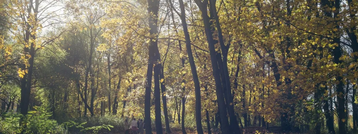 Udělali jsme, co jsme měli? Význam posledního rozloučení